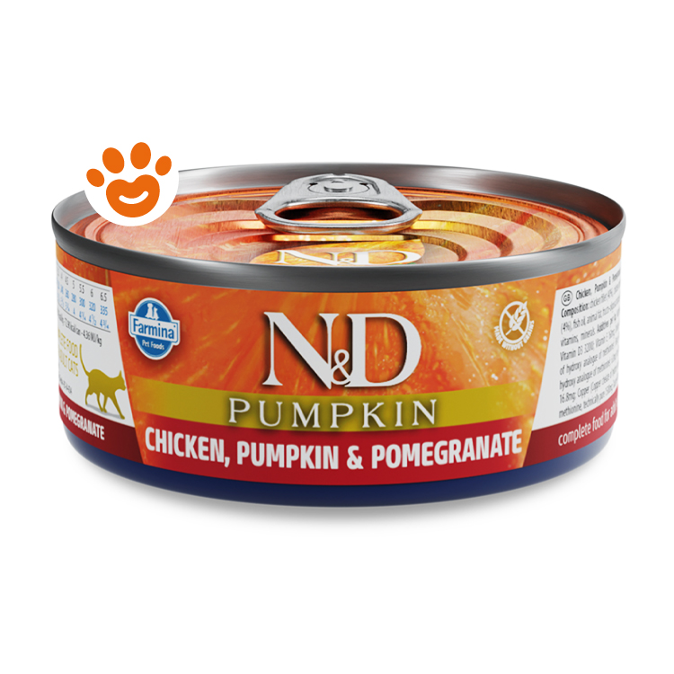 Lattina cibo gatto N&D Pumpkin pollo