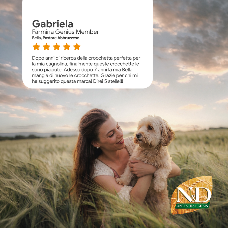 Donna con cane in campo al tramonto