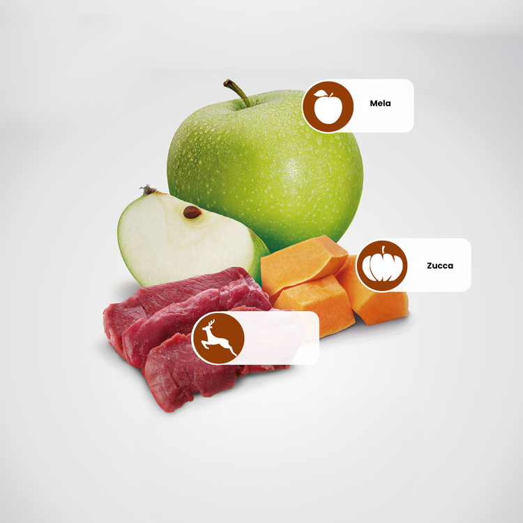 Mela verde, zucca e carne cruda