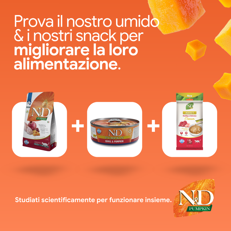 Linea N&D Pumpkin umido e snack per animali