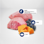 Agnello crudo con mirtilli e zucca