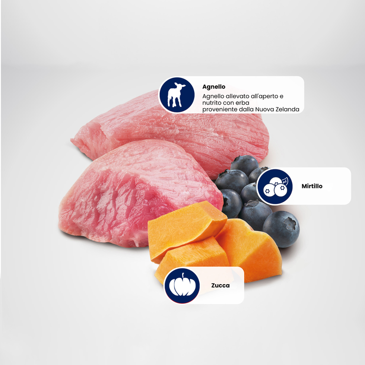 Agnello crudo con mirtilli e zucca
