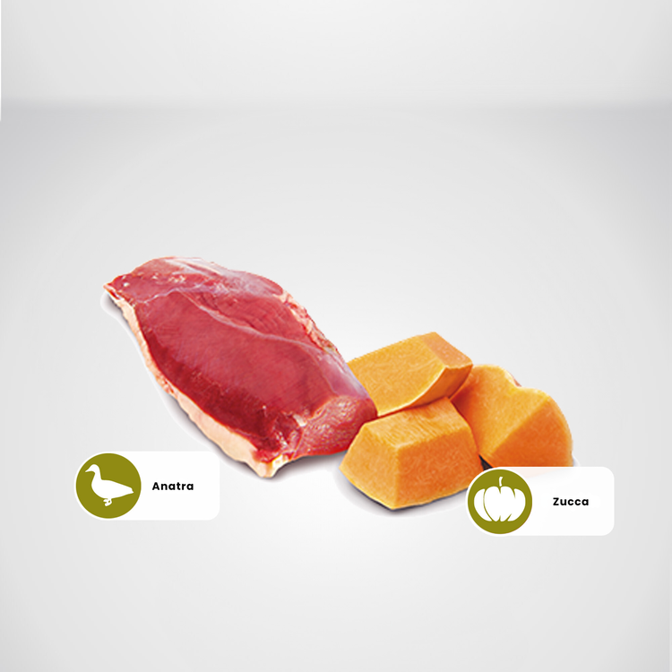 Petto d’anatra crudo con pezzi di zucca