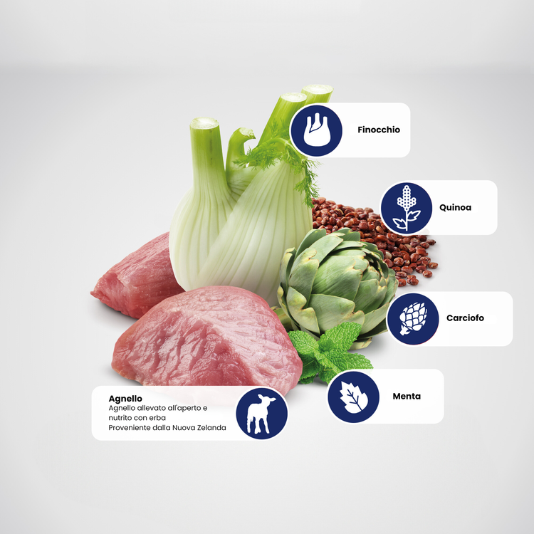 Ingredienti: agnello, finocchio, quinoa, carciofo e menta