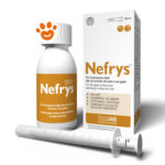 innovet-dogcat-nefrys