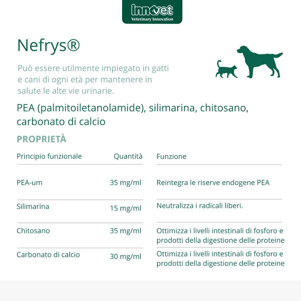 innovet-dogcat-nefrys-gallery-2