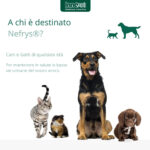 innovet-dogcat-nefrys-gallery-3