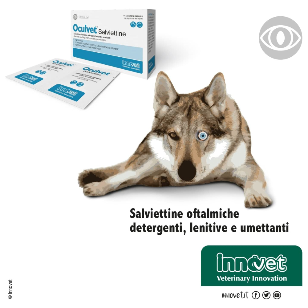 innovet-dogcat-oculvet-salviettine-gallery-4