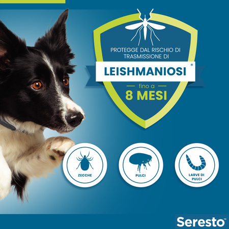 Seresto Collare Antiparassitario Per Cani Meno di 8 Kg