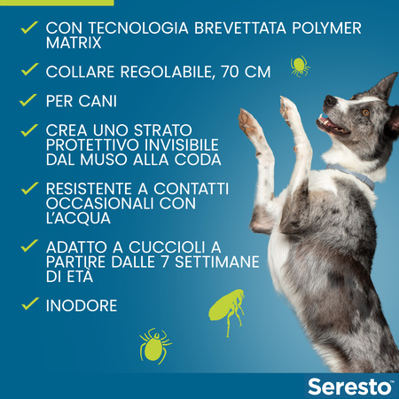 Elanco Seresto Collare Antiparassitario per Cani Oltre 8 kg - Amore Animale  Shop