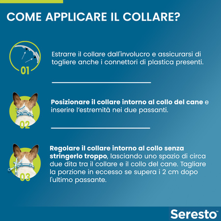 Elanco Seresto Collare Antiparassitario per Cani Oltre 8 kg - Amore Animale  Shop