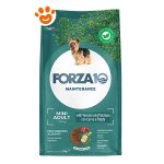 f10-dog-mini-adult-cervo