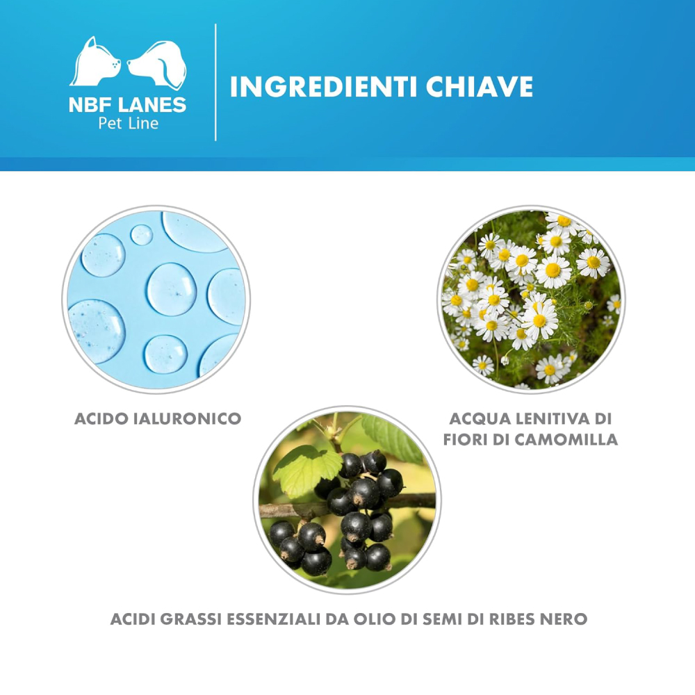 Ingredienti chiave linea pet NBF Lanes