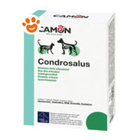 Camon Dog Orme Naturali Condrosalus