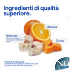 Arancia, zucca e merluzzo fresco