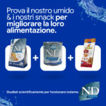Linea ND Ocean cibo secco, umido e snack