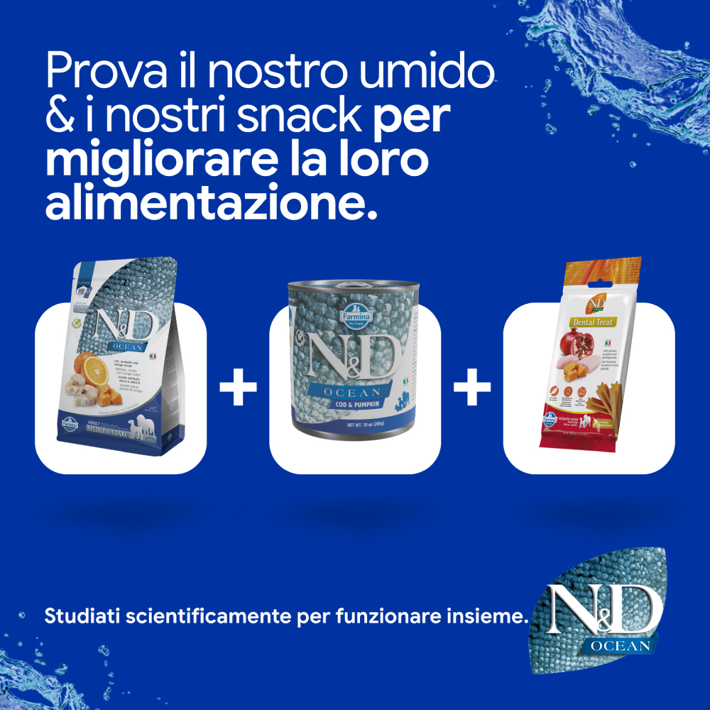 Linea ND Ocean cibo secco, umido e snack
