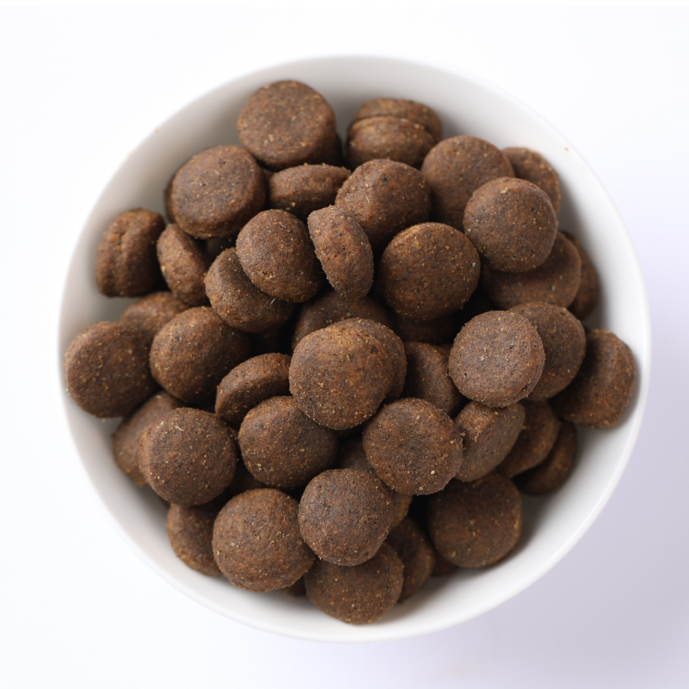 Ciotola di crocchette per cani marroni