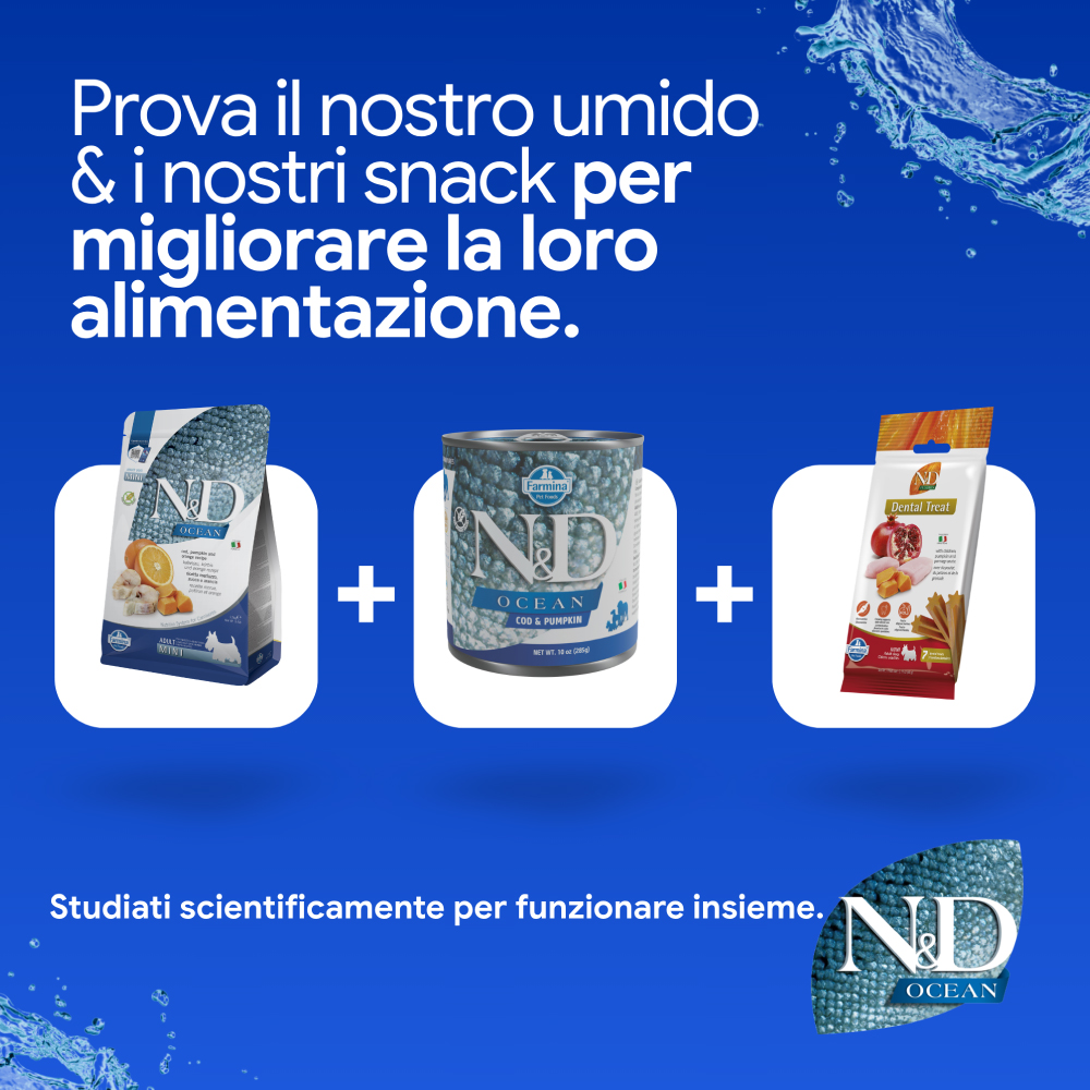 Linea alimenti umidi, secchi e snack per animali