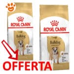 Royal-Canin-Dog-Adult-Bulldog-Inglese-Offerta-2-Sacchi