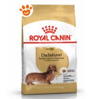 Royal Canin Dog Adult Dachshund (Bassotto)
