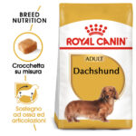 royal-canin-dachshund-bassotto-adult-gallery-6