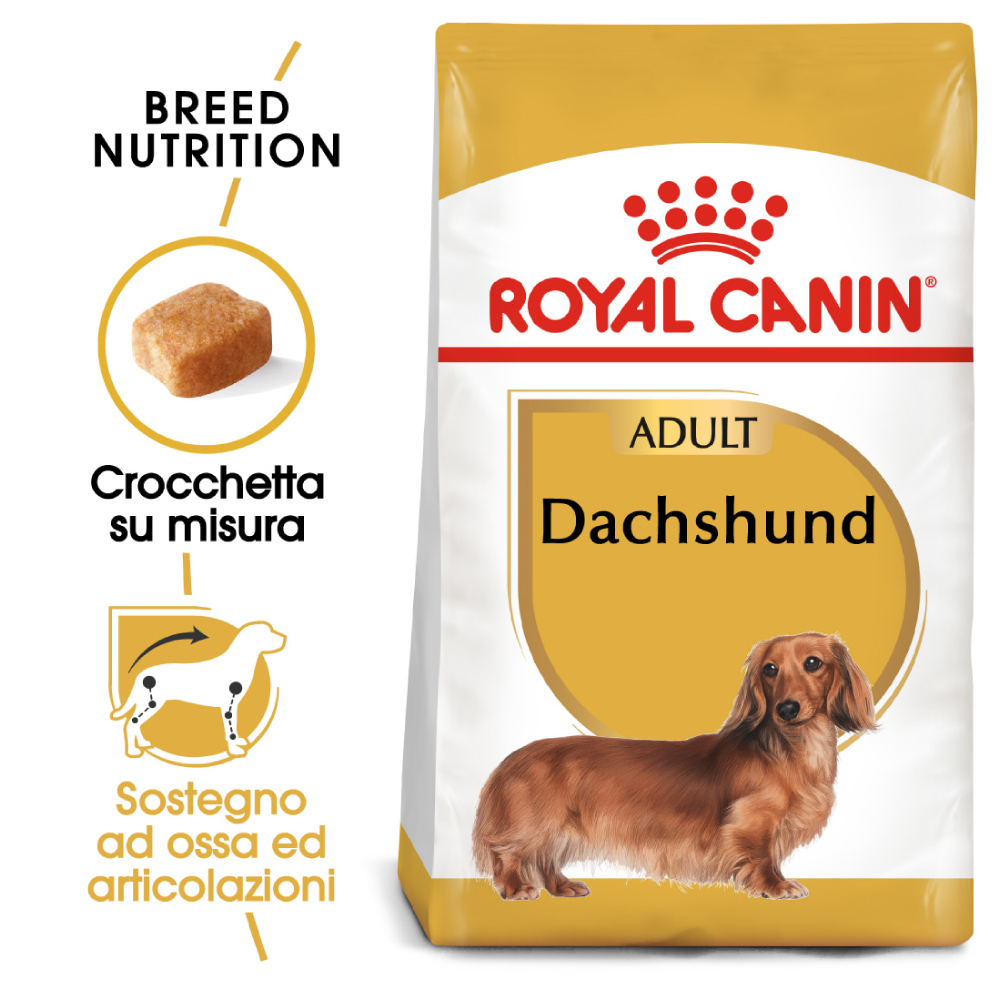royal-canin-dachshund-bassotto-adult-gallery-6
