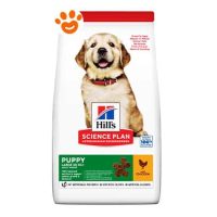 Hill's Dog Science Plan Puppy Large Breed Pollo