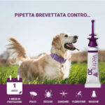 ceva-vectra-3d-dog-gallery