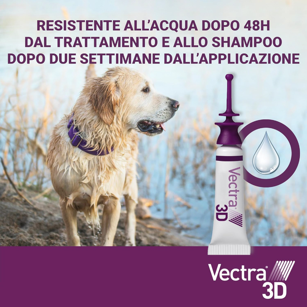 ceva-vectra-3d-dog-gallery-3