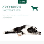 innovet-dog-normalia-extra-gallery-3