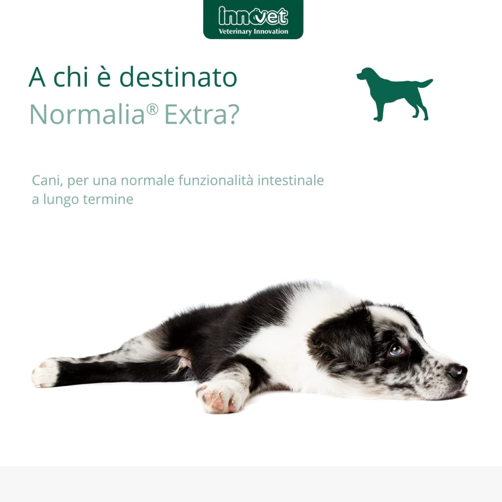innovet-dog-normalia-extra-gallery-3