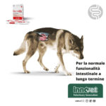 innovet-dog-normalia-extra-gallery-4