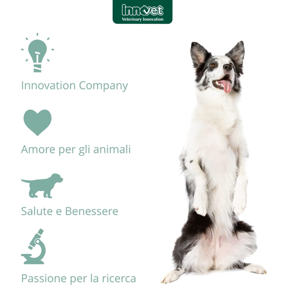 innovet-dog-normalia-extra-gallery-5