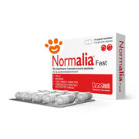 Innovet Dog&Cat Normalia Fast