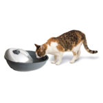 camon-dogcat-fontanella-automatica-1