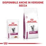 RC-VET-WET-CatEarlyRenTSIG-CV-Eretailkit-6-it_IT