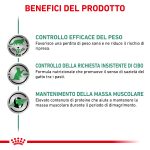 RC-VET-WET-CatSatietyWM-TSIG-CV-Eretailkit-2-it_IT