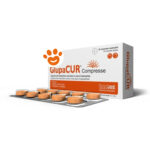 innovet-glupacur-compresse-cani-e-gatti