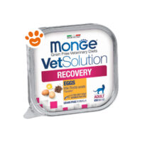Monge Cat Vetsolution Recovery