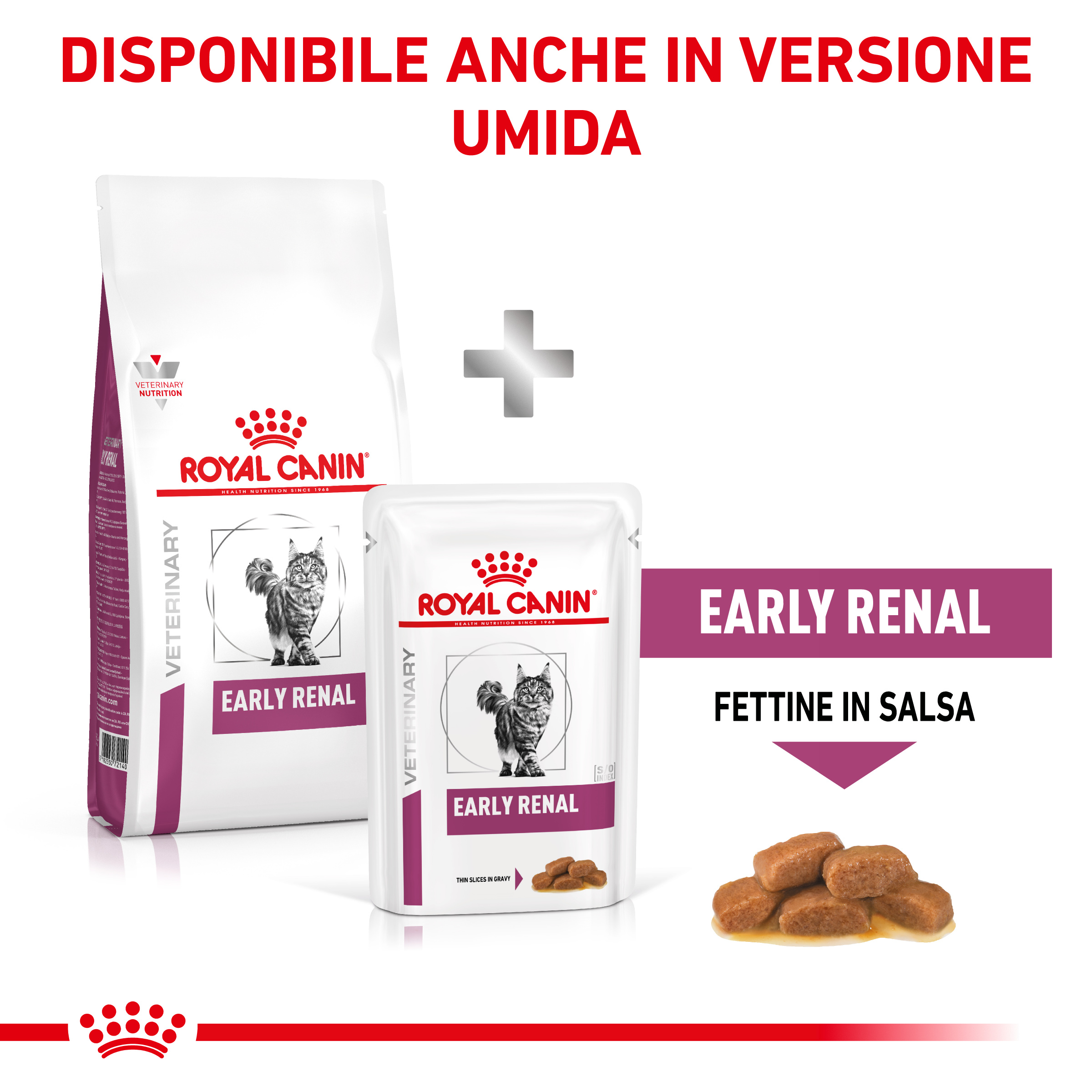 rc-cat-vhn-earlyrenal (5)