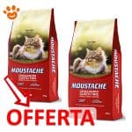 Monge-Cat-Moustache-Gusto-Tris-mp