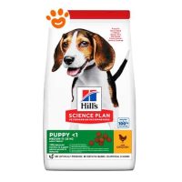 Hill's Dog Science Plan Puppy Medium Pollo