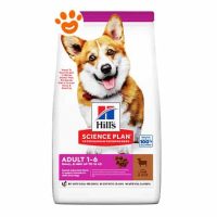 HILL'S SCIENCE PLAN Adult Small Mini Agnello e Riso