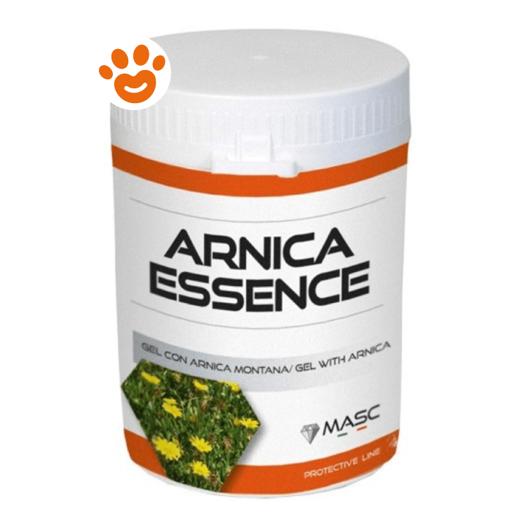masc-horse-arnica-essence-gel-