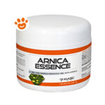 masc-horse-arnica-essence-gel