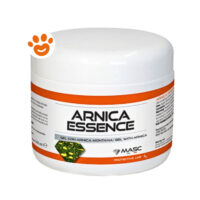 Masc Horse Arnica Essence Gel