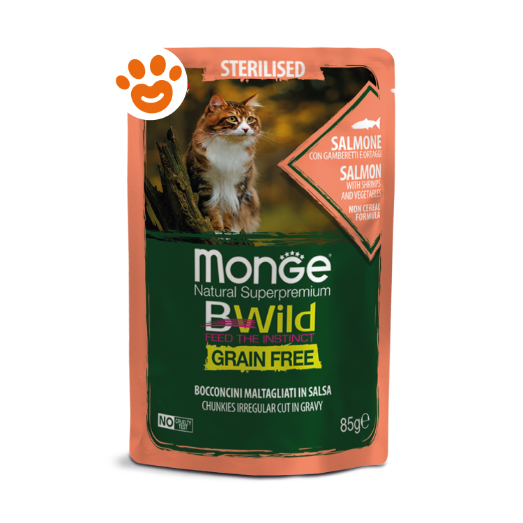 Busta cibo gatto Monge BWild salmone