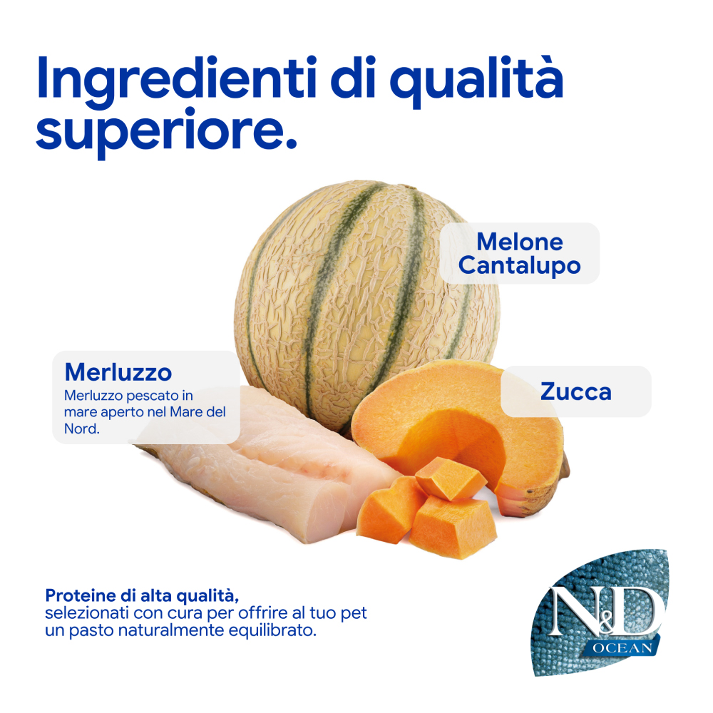 Ingredienti premium: melone, zucca e merluzzo fresco