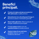 Benefici principali alimento pet a base di pesce